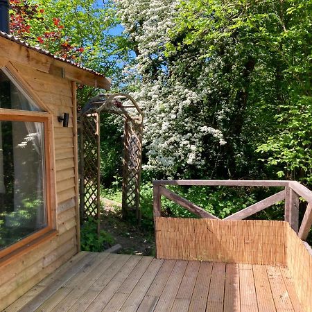 Honey Bee Cabin Llandysul Eksteriør bilde