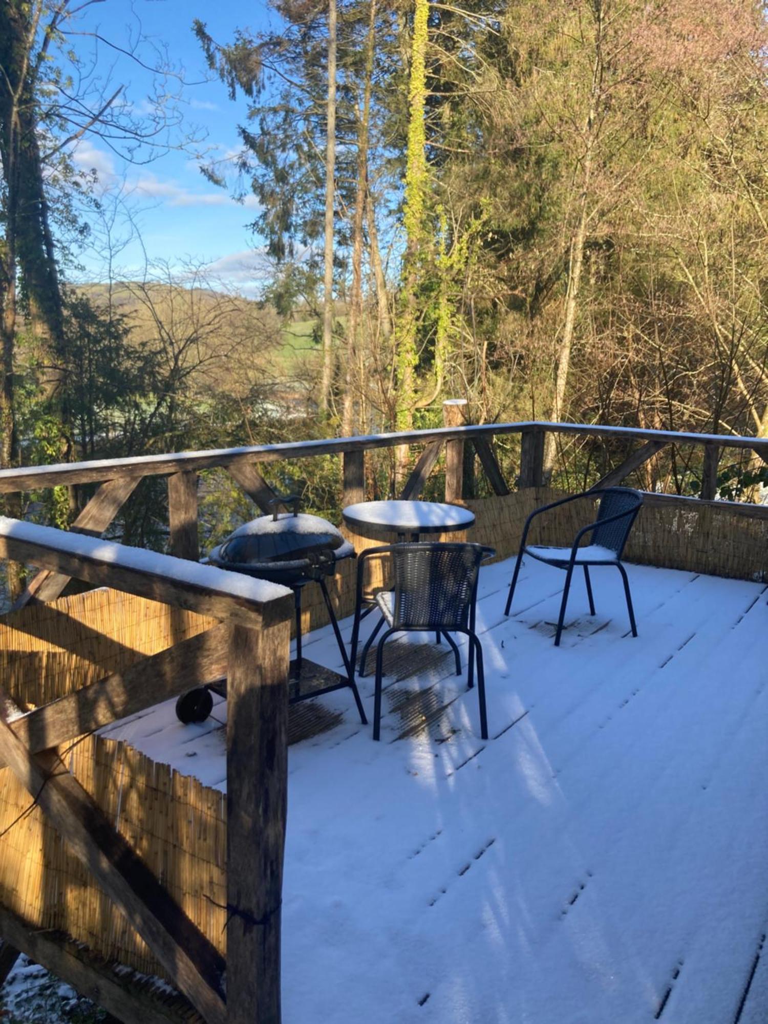 Honey Bee Cabin Llandysul Eksteriør bilde