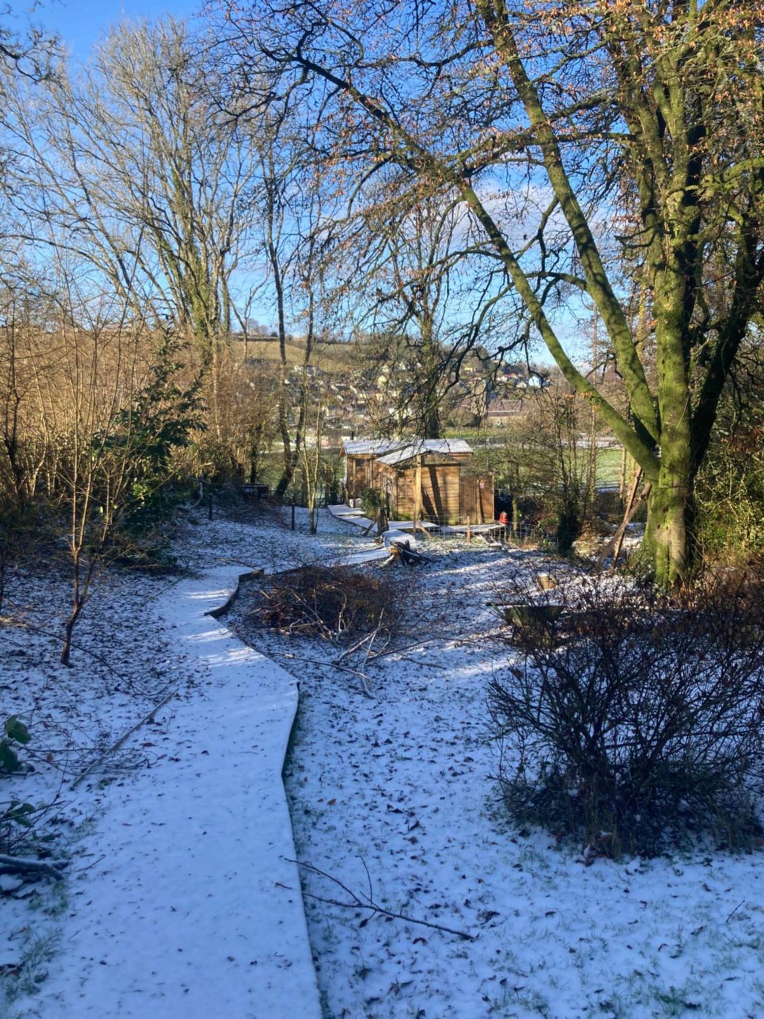 Honey Bee Cabin Llandysul Eksteriør bilde